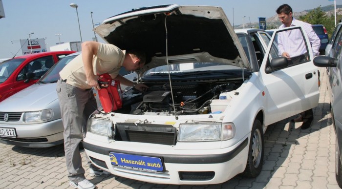 Bikázni kell, de egészséges a Felicia