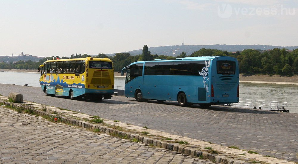 Az egyik tud úszni, a másik nem