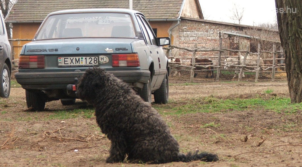 Tágas és egész tartós az Opel Ascona