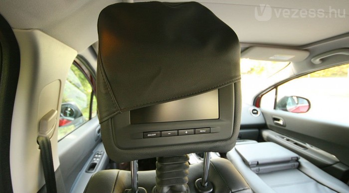 Bőrbugyi a kistévének