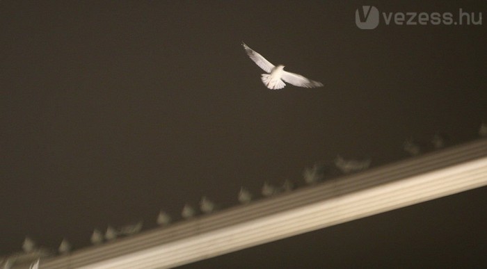 Telt ház, így továbbáll