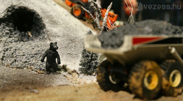 A szénbányában lakó medve méltatlankodik a zajterhelés miatt