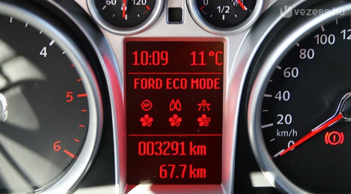 Gyűjtsünk szirmokat