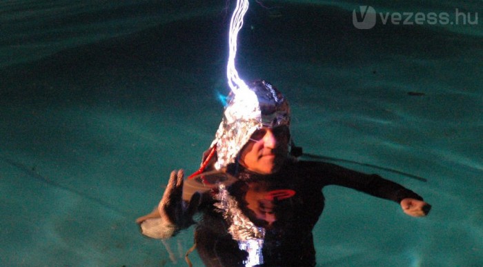 Dénes úszósapkája