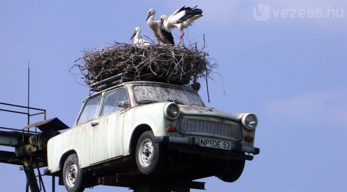 Trabant tető a bátraknak