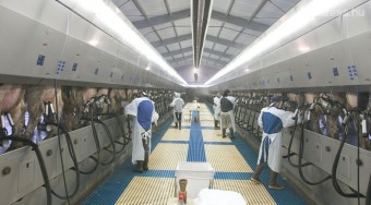 Sokba lesz nekünk 2010