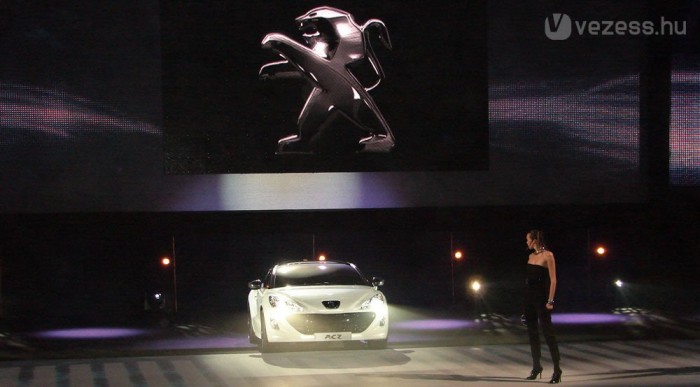 Eltűnt az oroszlán nyelve 11