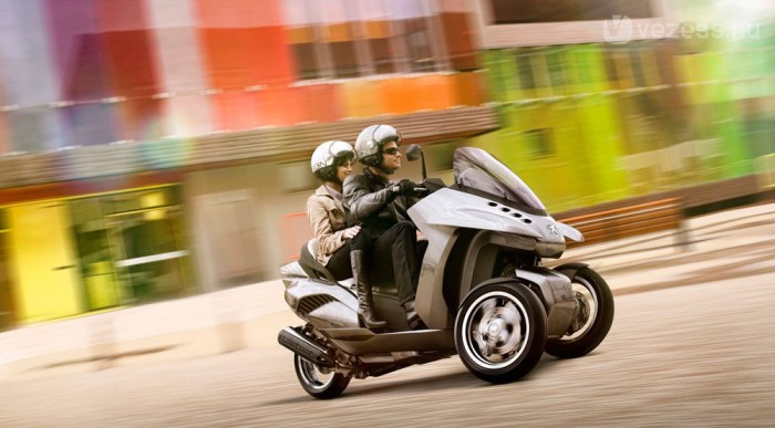 Eltűnt az oroszlán nyelve 16