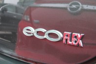 EcoFlex és OPC: Észak és Dél, jég és tűz