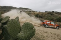 Sebastien Loeb nyert Mexikóban 29