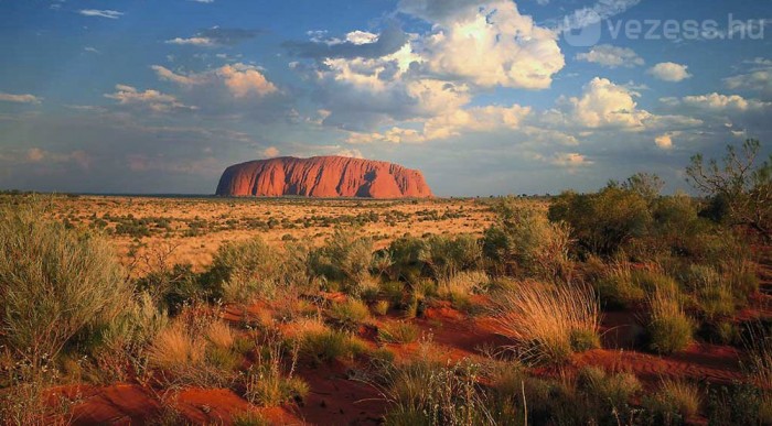 11 ezer km egy taxi hátuljában 7