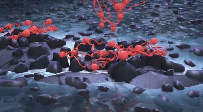 Liposzómák? Intelligens szemcsék? Biffidus Essensis?