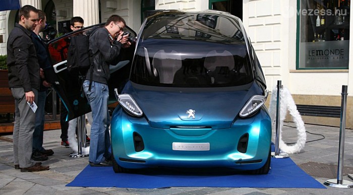 Szőrkordon mögött