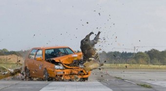 Törésteszt vaddisznókkal