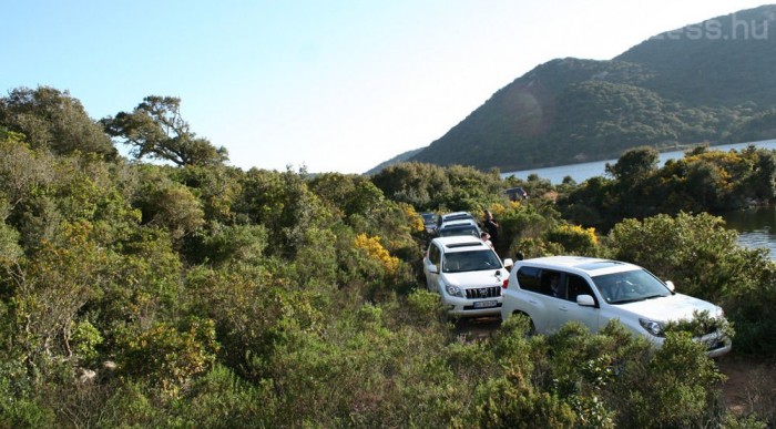 Tavasszal nem kopárak a korzikai hegyek