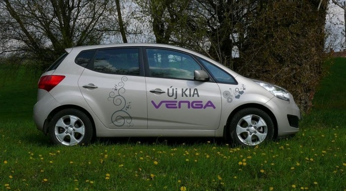 Virág, pillangó: gyúrós tarkóharcosoknak nem áll jól