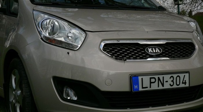 Egy őzzel találkozott a jobb eleje