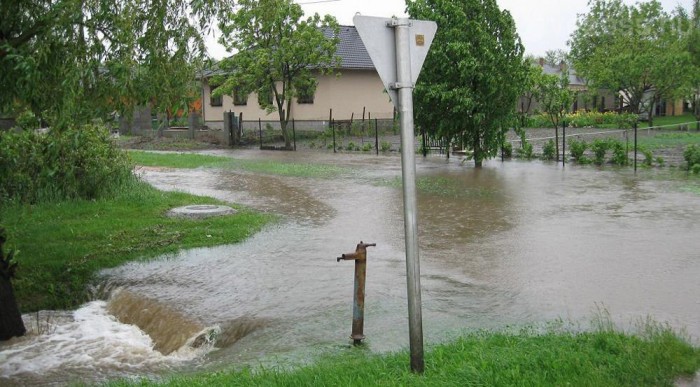 Ászár, a 81-es út mentén Fotó: Molnár Attila (Tarjáni)