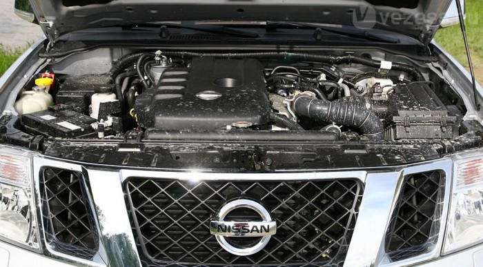 Így fest a varacskos disznó szíve