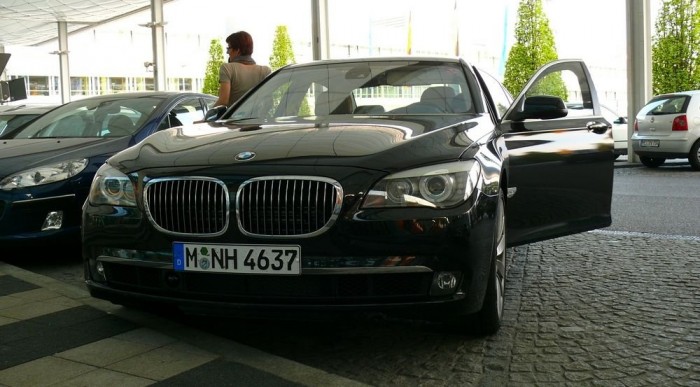 Túlméretes vesét hord a domináns hím 