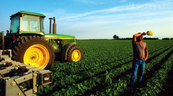 Dísznövényből üzemanyagot