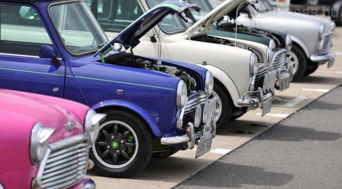 Ezerszámra jönnek a Minik hozzánk 5 | Vezess Ezerszámra jönnek a Minik hozzánk 5