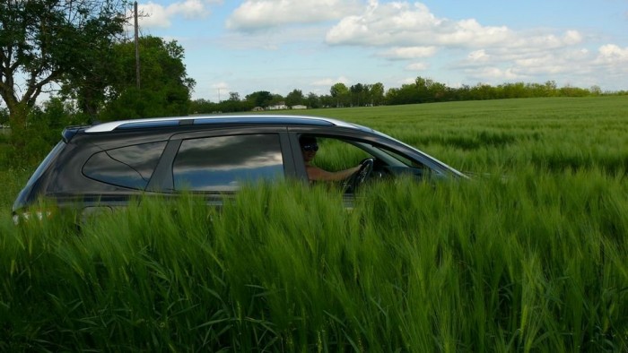 Nagyon jól tűrte a szokatlan terepet