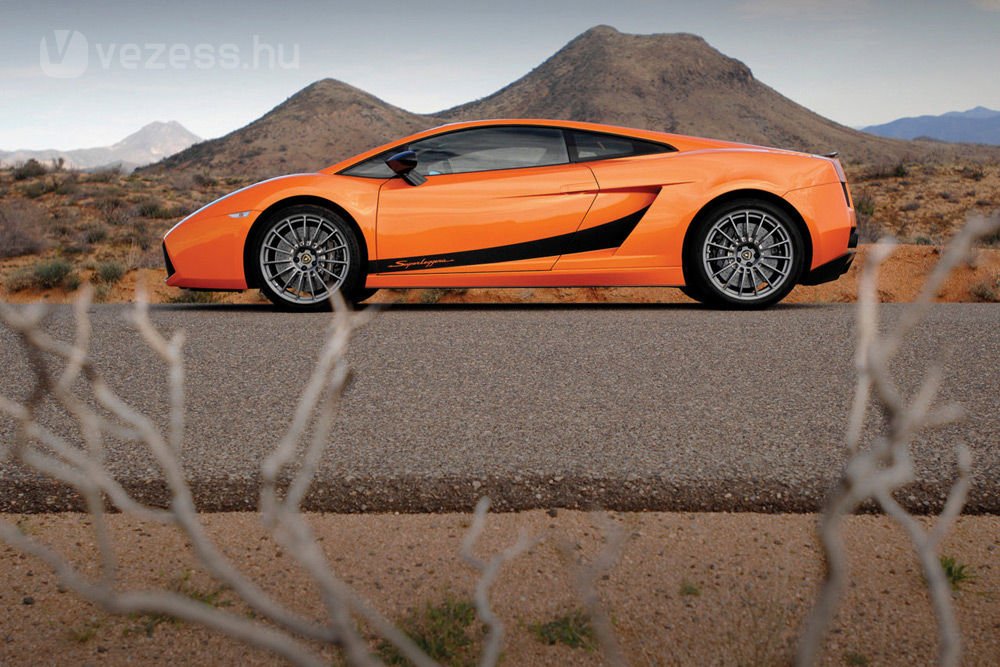 39645_304522_1000x700.jpg | Vezess | Vezess