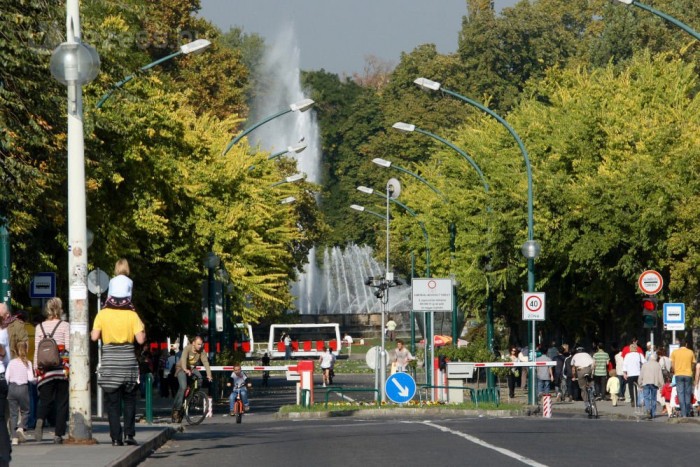 Akció a szabálytalan margitszigeti autósok ellen 6