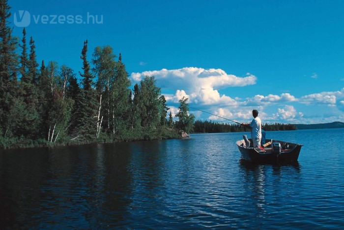 Kocsifogó horgászok