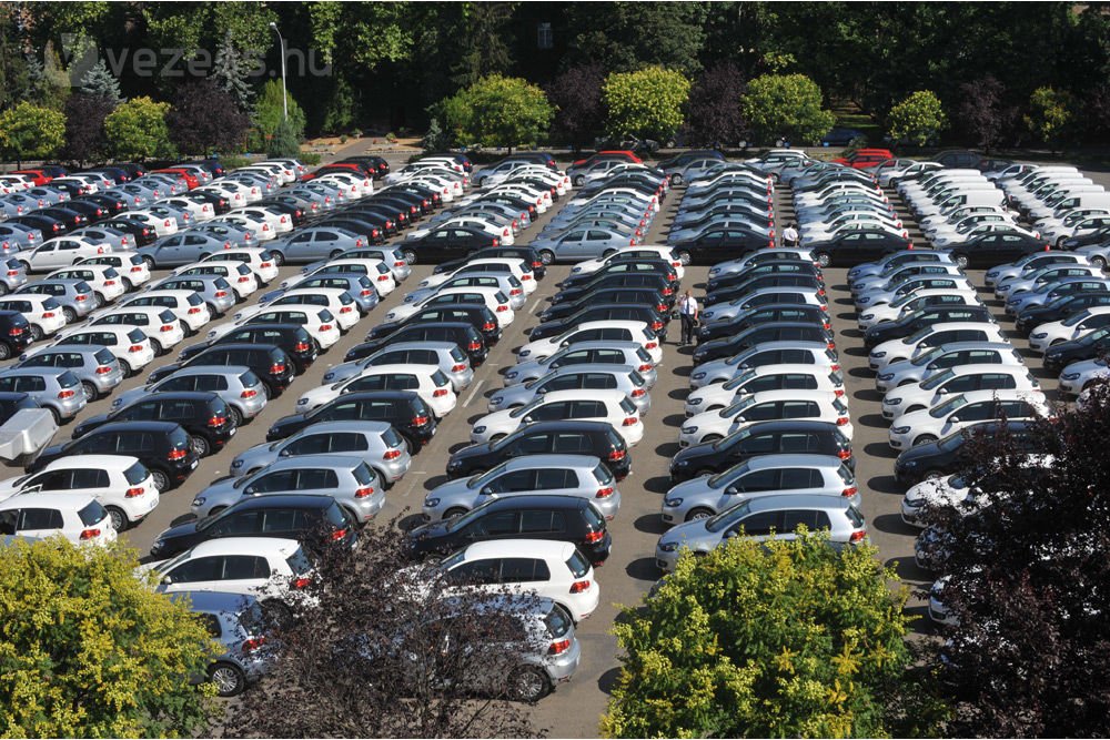 39858_306541_1000x700.jpg | Vezess | Vezess