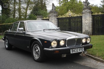 Királyi Jaguar a piacon