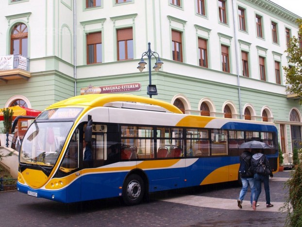 Mint egy hátracsapott fülű nyúl