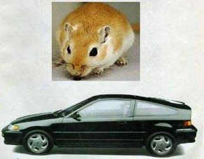 A Honda új fejlesztésű 