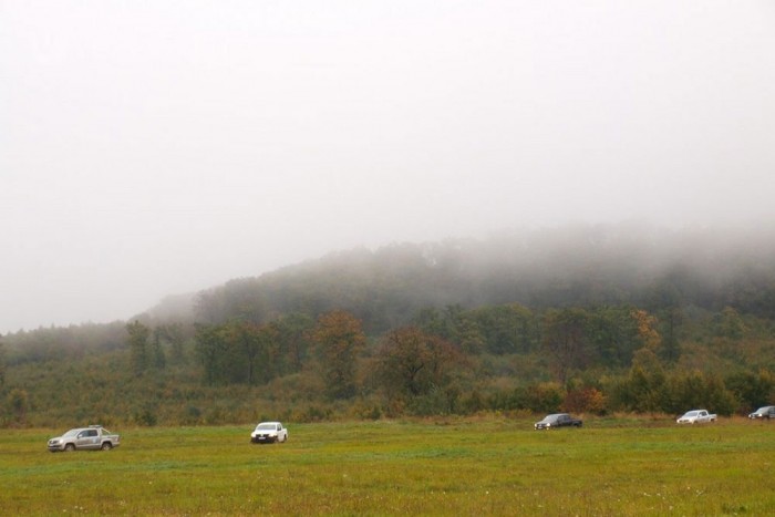 Ha a tervezett értékesítési számot elérik, csaknem ilyen sűrűn találkozhatunk majd velük