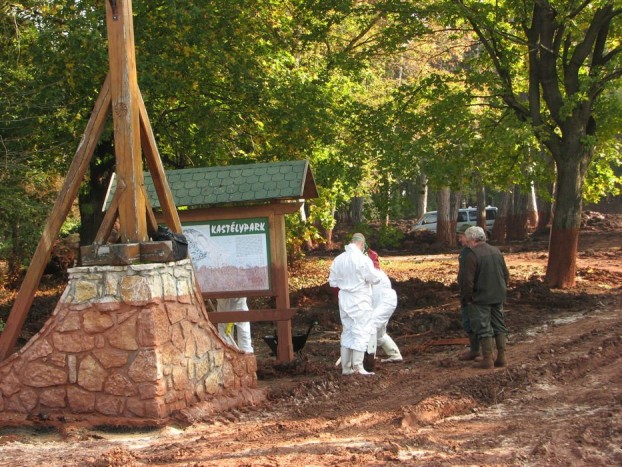 A kastélypark aljnövényzete oda