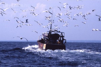 A halászoknak olcsóbb kötelező jut