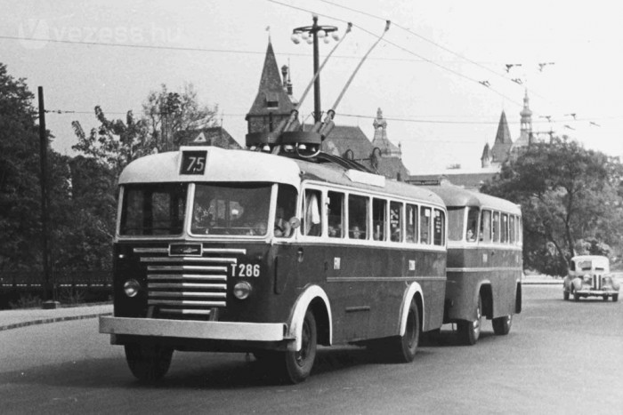 Kiállítás az 50 éves csuklós busznak 6