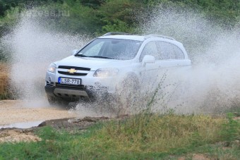 Chevrolet Captiva - Bőbélű holstein-fríz