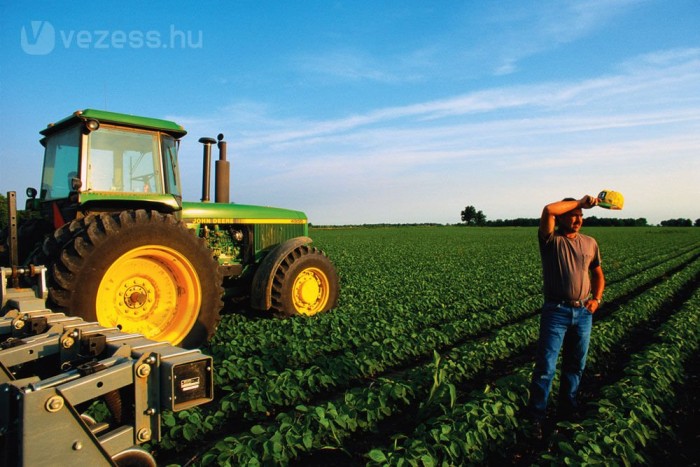 Káros a környezetre a bioüzemanyag