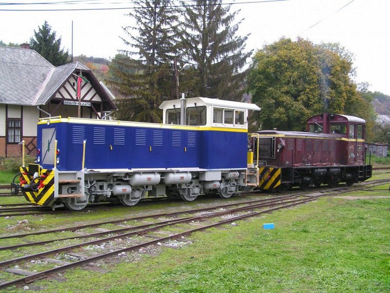 A gép az 1928-ban üzembe állított LÁEV motorvonat színezését kapta.