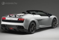 Fogyókúrán a Lamborghini roadster 15