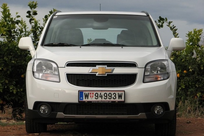 Hétüléses családi arany kereszttel 10 | Vezess Mackókhoz és kedves cetekhez hasonló arc, mégis van benne valami izgalmas agresszió