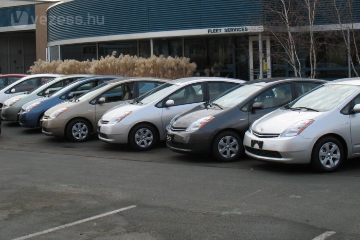 Zajos hibridet kérnek az amerikaiak