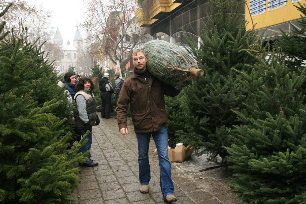 Elejtettem a zsákmányt!