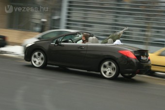 Büntethet a rendőr a karácsonyfáért?