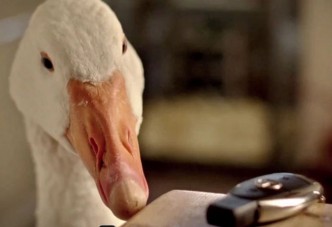 Autógyártók karácsonya