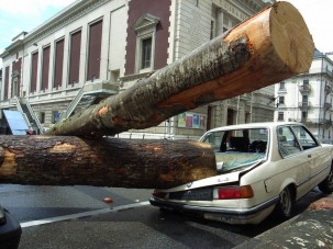 Nagy lóvé a biztosítótól
