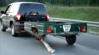 A favágók pótkereke? - videóval