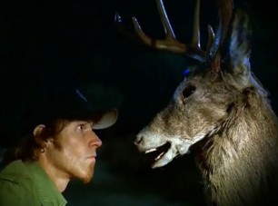 Vadbaleset: bármikor bekövetkezhet!